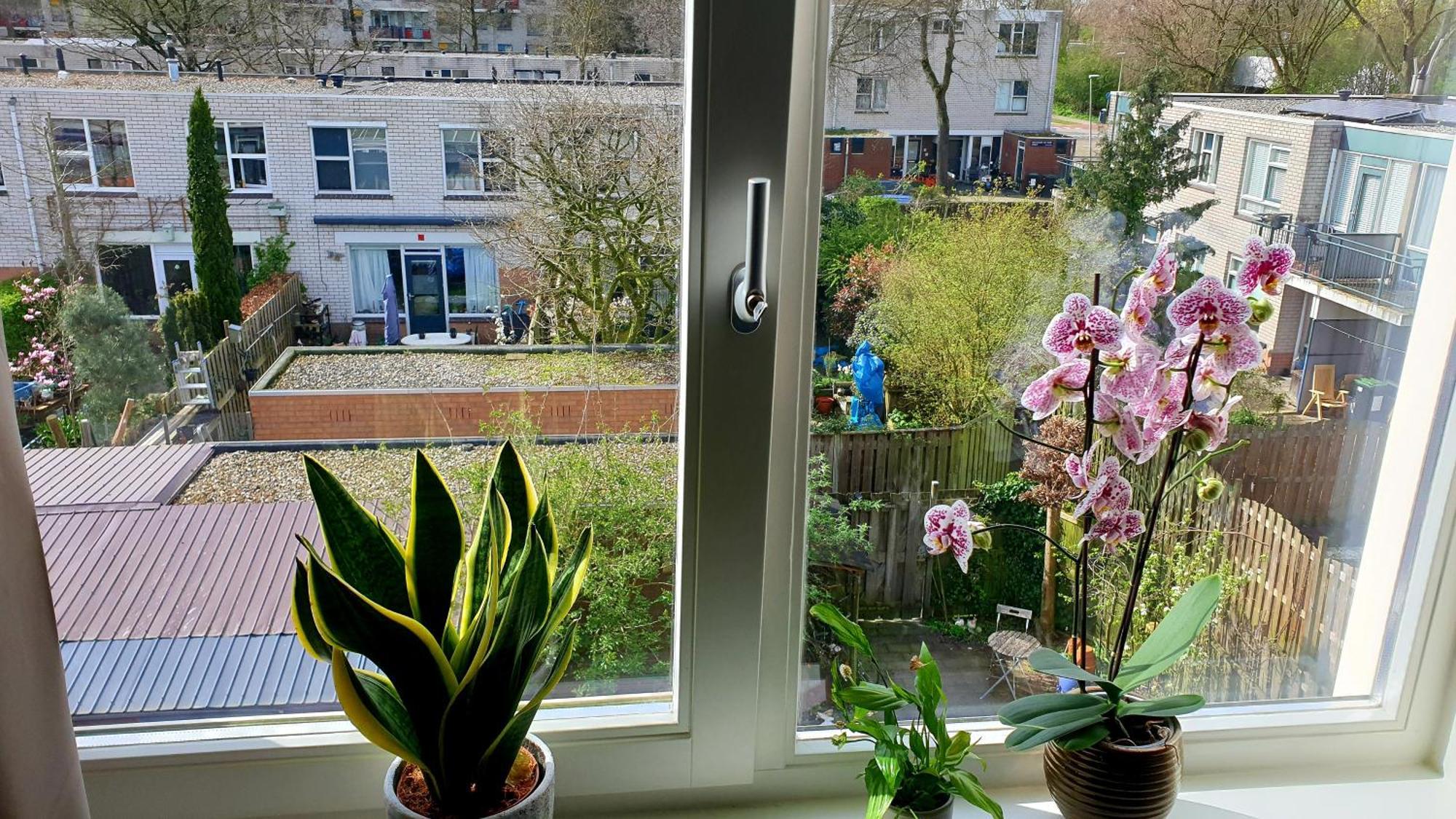 Amor Guesthouse Amsterdam Eksteriør billede